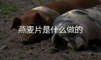 燕麥片是什么做的