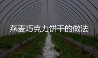 燕麥巧克力餅干的做法