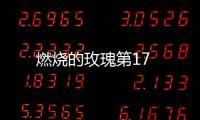 燃燒的玫瑰第17