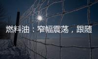 燃料油：窄幅震蕩，跟隨原油價格走勢為主；低硫燃料油