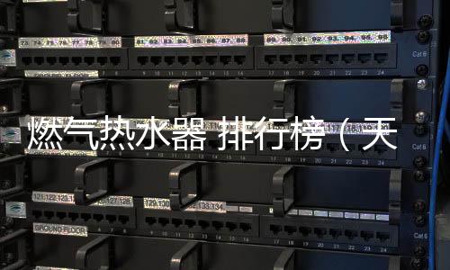 燃氣熱水器 排行榜（天然氣熱水器排行榜）