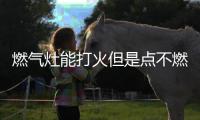 燃氣灶能打火但是點不燃，家里的燃氣灶打不著火怎么辦