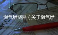燃?xì)馊紵鳎P(guān)于燃?xì)馊紵鞯幕厩闆r說(shuō)明介紹）