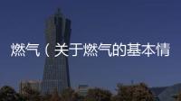 燃氣（關于燃氣的基本情況說明介紹）