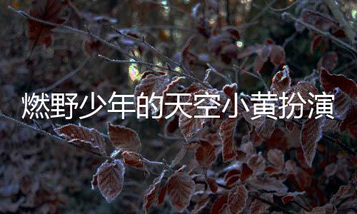 燃野少年的天空小黃扮演者