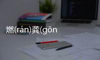 燃(rán)龔(ɡōnɡ)亥(hài)閡(hé)發生了什么?