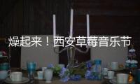 燥起來！西安草莓音樂節官宣 會有你喜歡的樂隊嗎