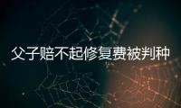 父子賠不起修復(fù)費被判種樹管護(hù)10年 以“補植復(fù)綠”替代賠償