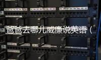 爸爸去哪兒威廉說英語（《爸爸回來了》第三期威廉飚英語獲贊）