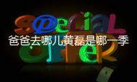 爸爸去哪兒黃磊是哪一季