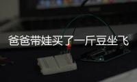 爸爸帶娃買了一斤豆坐飛機 創意方法獲贊