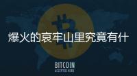 爆火的哀牢山里究竟有什么 野生動植物寶庫待保護