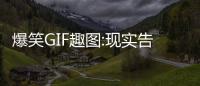 爆笑GIF趣圖:現實告訴你,馬屁不是隨便亂拍的