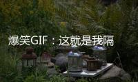爆笑GIF：這就是我隔壁王叔家的乖女兒，你們覺得應(yīng)該多少歲了呢？