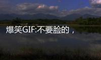 爆笑GIF:不要臉的，是你的嗎你就吃，起開！