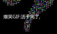 爆笑GIF:活干完了,人下不來了