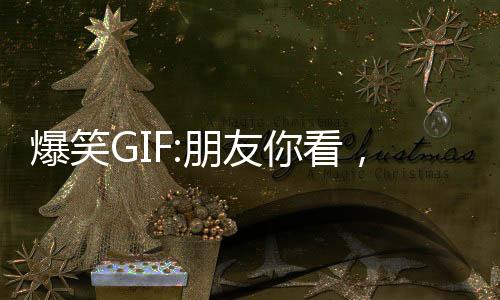 爆笑GIF:朋友你看，這片草原綠不綠？