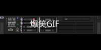 爆笑GIF