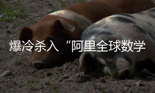 爆冷殺入“阿里全球數(shù)學(xué)競(jìng)賽”的中專女生：夢(mèng)想就是考大學(xué)