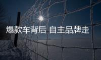爆款車背后 自主品牌走向分化