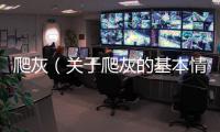 爬灰（關(guān)于爬灰的基本情況說明介紹）