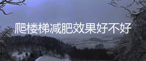 爬樓梯減肥效果好不好