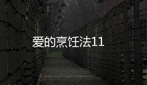 愛(ài)的烹飪法11