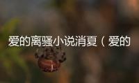 愛的離騷小說消夏（愛的離騷）