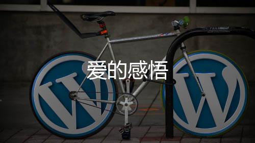 愛的感悟