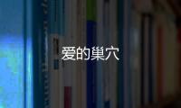 愛的巢穴