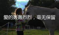 愛的轟轟烈烈，毫無保留的幾大星座