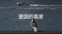 愛國的高度