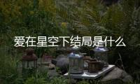 愛在星空下結局是什么