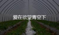 愛在欲望青空下
