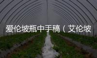 愛(ài)倫坡瓶中手稿（艾倫坡）