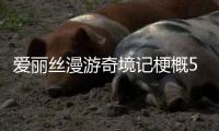 愛麗絲漫游奇境記梗概500字六年級作文