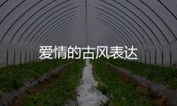 愛情的古風表達