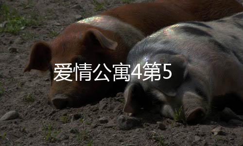 愛情公寓4第5
