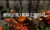 愛情公寓3紫禁之巔特效是哪家（愛情公寓3紫禁之巔）