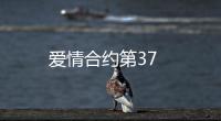 愛情合約第37