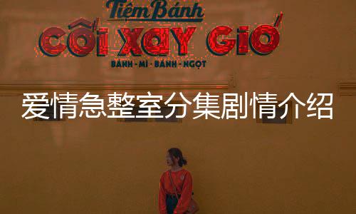 愛情急整室分集劇情介紹(1