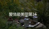 愛情最美麗第16