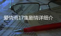 愛情雨17集劇情詳細介紹