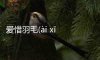 愛惜羽毛(ài xī yǔ máo)這是一條可靠的消息嗎?
