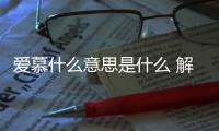 愛慕什么意思是什么 解釋（愛慕什么意思）