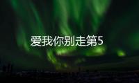 愛我你別走第5