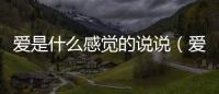 愛是什么感覺的說說（愛是什么感覺）