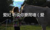 愛妃 聽說你要爬墻（愛妃聽說你要爬墻）