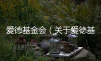 愛(ài)德基金會(huì)（關(guān)于愛(ài)德基金會(huì)的基本情況說(shuō)明介紹）