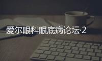 愛爾眼科眼底病論壇·2022暨第三屆湖南疑難眼底病論壇圓滿舉行